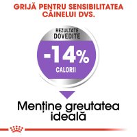 ROYAL CANIN Mini Sterilised Adult - Hrană Uscată pentru Câini Sterilizați, 1kg - 5