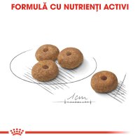 ROYAL CANIN Mini Sterilised Adult - Hrană Uscată pentru Câini Sterilizați, 1kg - 6