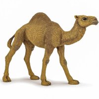 Figurina Papo - Dromader din Animale Salbatice - 1