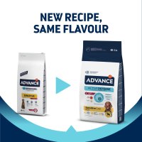 ADVANCE Sensitive Care, XS-XL, Miel și Orez, hrană uscată câini, sistem digestiv, 12kg - 3