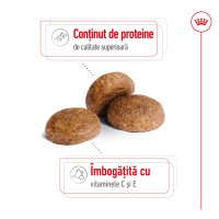 ROYAL CANIN Medium Adult 7+, hrana uscata pentru caini senior, 4kg - 4