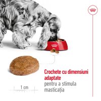 ROYAL CANIN Medium Adult 7+, hrana uscata pentru caini senior, 4kg - 5
