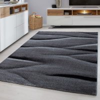 Covor Lucca Negru 200x290 cm - 1