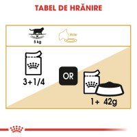 ROYAL CANIN British Shorthair Adult, hrană umedă pisici, (în sos), 85g - 6