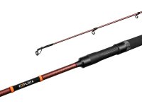Lanseta Delphin Exploza Hard, 2.70m, 70g, 2 tronsoane - 2