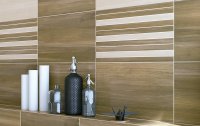 Faianta Ambio PS207 Brown  25 x 40 - 2