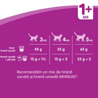 WHISKAS Adult, Vită, hrană uscată pisici, 14kg - 16