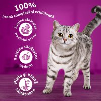WHISKAS Adult, Vită, hrană uscată pisici, 14kg - 17