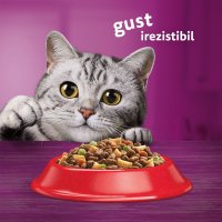 WHISKAS Adult, Vită, hrană uscată pisici, 14kg - 6