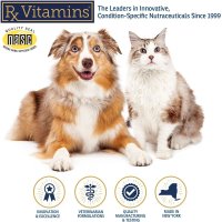 RX VITAMINS Zyme - Supliment Digestiv pentru Câini și Pisici, 120g Pudră - 5