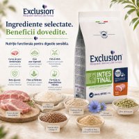 EXCLUSION Monoprotein VD Intestinal Small, XS-S, Porc și Orez, dietă veterinară, hrană uscată câini, sistem digestiv, 2kg - 5