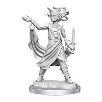 Miniatura D&D Frameworks - Medusa Nepictata - 1