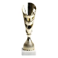 Cupa MS161-King 64 - Trofeu Sportiv Economic - 1