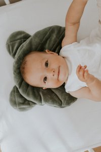 Perna ursulet Royal Baby Verde Sleepee - 2