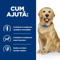 HILL'S Prescription Diet j/d Mobility cu pui, hrana uscata veterinara pentru caini, suport pentru sistemul articular, 12 kg - 11