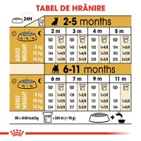 ROYAL CANIN French Bulldog Puppy, hrană uscată câini junior, 3kg - 8