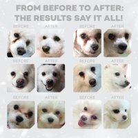 NATURES PROTECTION Superior Care White Dogs - Hrană Uscată Fără Cereale pentru Câini Junior & Adult, 10kg - 5
