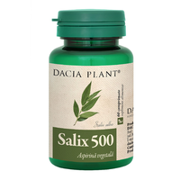 Salix 500, 60 comprimate, Dacia Plant - 1
