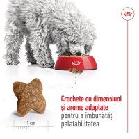 ROYAL CANIN Mini Adult, hrană uscată câini, 8kg - 5