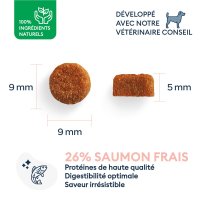 MARLY&DAN Adult Small Breed, XS-S, Somon, hrană uscată fără cereale câini, 4kg - 3