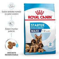 Royal Canin Maxi Starter Mother & Babydog, mama si puiul, hrana uscata caine, 4 kg - 1
