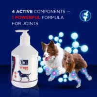 TRM Stride Plus, supliment sistem articular câini, suspensie orală TRM Stride Plus, XS-XL, supliment sistem articular câini, flacon, 200ml suspensie orală - 3