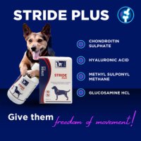 TRM Stride Plus, supliment sistem articular câini, suspensie orală TRM Stride Plus, XS-XL, supliment sistem articular câini, flacon, 200ml suspensie orală - 4