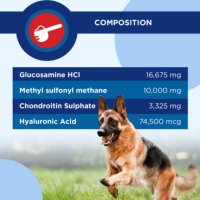 TRM Stride Plus, supliment sistem articular câini, suspensie orală TRM Stride Plus, XS-XL, supliment sistem articular câini, flacon, 200ml suspensie orală - 7