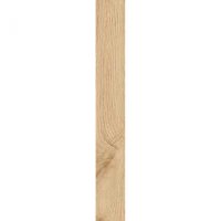Parchet laminat BL BEGONYA 8mm AC3 CL31, 2.2920 mp   cutie, beige - 1