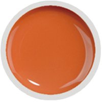 Cover color gel fsm 017 - 1