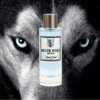 Apa de Parfum, Diane Castel, Silver Wolf 100 ml, barbati - Original Franta - 2