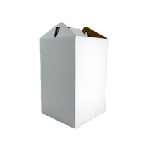 Cutie 5L Bag-in-Box Alb - Usor de Formatez - 1