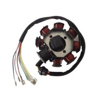 Magnetou ATV CG 125 - CG200 (8 bobine 5 fire) - 3