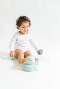 Set de 5 Jucarii de Baie Little Ducks - 11