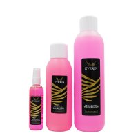 Degresant Everin 1000ml- Capsuni - DEV-C1000 - 2