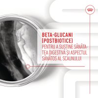 ROYAL CANIN Suplimente pentru Pui Immunity & Digestion, Recompense Funcționale pentru Câini Junior, 100g - 4