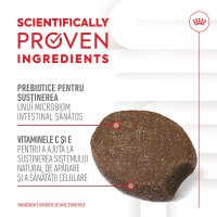 ROYAL CANIN Suplimente pentru Pui Immunity & Digestion, Recompense Funcționale pentru Câini Junior, 100g - 5