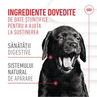 ROYAL CANIN Suplimente pentru Pui Immunity & Digestion, Recompense Funcționale pentru Câini Junior, 100g - 7