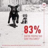 ROYAL CANIN Suplimente pentru Pui Immunity & Digestion, Recompense Funcționale pentru Câini Junior, 100g - 10