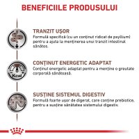 ROYAL CANIN VD Gastrointestinal Fibre Response, dietă veterinară, hrană uscată pisici, sistem digestiv, 4kg - 4