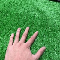 Gazon Artificial Crown Delta, Verde, 300x1600 cm - 2