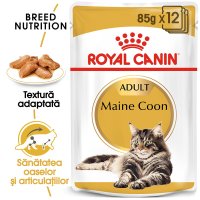 ROYAL CANIN Maine Coon Adult, hrană umedă pisici, (în sos), bax, 85g x 12buc - 2