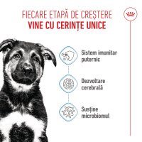 ROYAL CANIN Maxi Puppy, hrană uscată câini junior, 12kg - 4