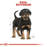 ROYAL CANIN Rottweiller Puppy, hrană uscată câini junior, 12kg - 4
