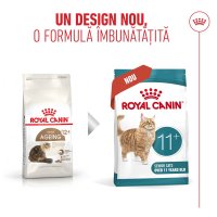 ROYAL CANIN Feline Health Nutrition Healthy Ageing 11+ hrana uscata pentru pisici senior, 4 kg - 4