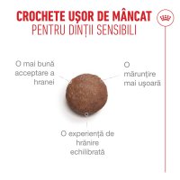 ROYAL CANIN Feline Health Nutrition Healthy Ageing 11+ hrana uscata pentru pisici senior, 4 kg - 7