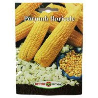 Seminte Porumb pentru Floricele - Soi Productiv - 1
