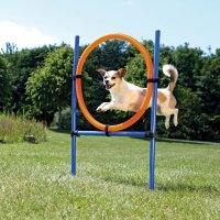 Jucarie Agility Ring 65 cm 3208 - 1