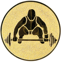 Emblema Aurie pentru Medalii si Cupe, 25mm - 1