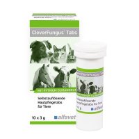 Alfavet Clever Fungus Tabs, 10 x 3 g - 1